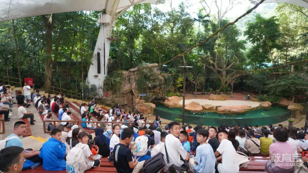 如何借助专业篮球教练提升个人声誉_2